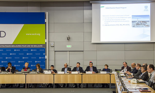 NEA Steering Committee Policy Eebate on Nuclear Skills and Education in NEA Member Countries, November 2016