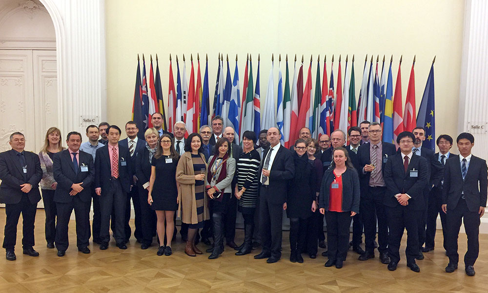 Working Party on Nuclear Emergency Matters (WPNEM) meeting, January 2017