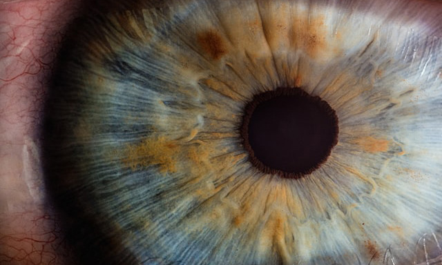 Macro photography of human eye, Unsplash