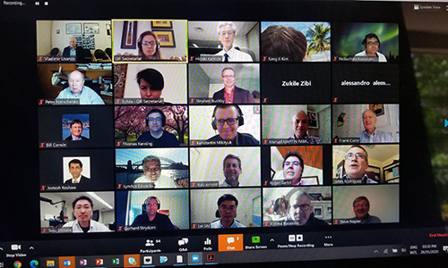 Generation IV International Forum (GIF) meetings, May 2020