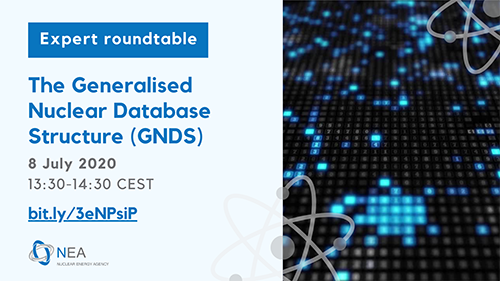 The Generalised Nuclear Database Structure: Establishing an International Nuclear Data Standard