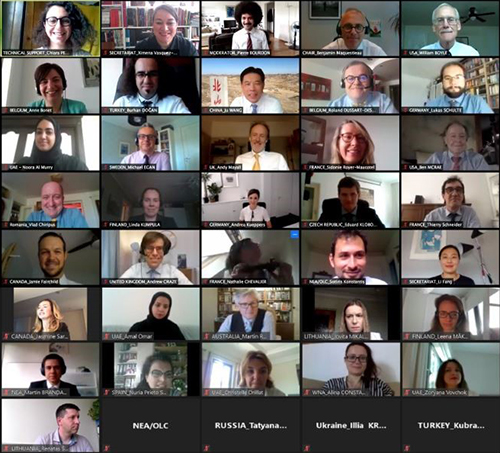 Generation IV International Forum (GIF) meetings, May 2020