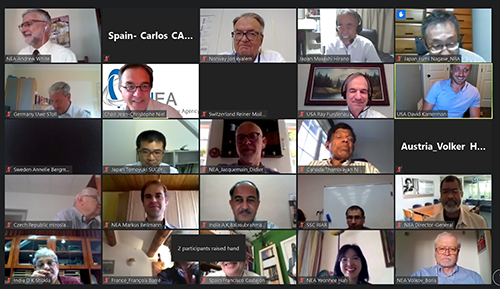 NEA Committee on the Safety of Nuclear Installations (CSNI) meeting, June 2020