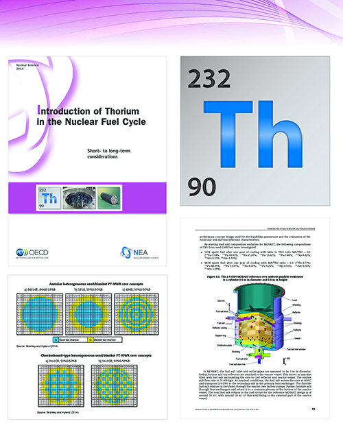 Introduction of Thorium in the Nuclear Fuel Cycle