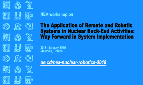 The application of remote and robotic systems in nuclear back-end activities, January 2019