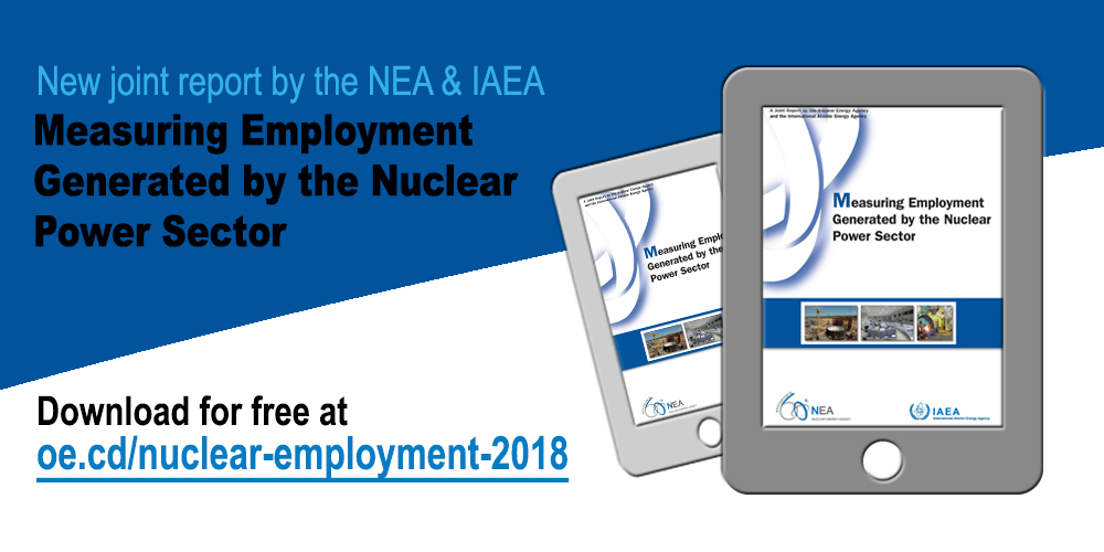 Measuring Employment Generated by the Nuclear Power Sector